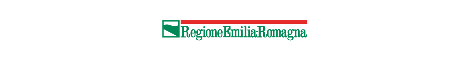 loghi enti finanziatori corso